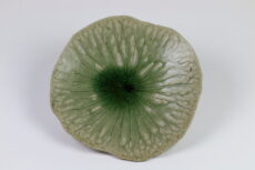 Shigaraki Yaki-Keramik -Lotusblatt-