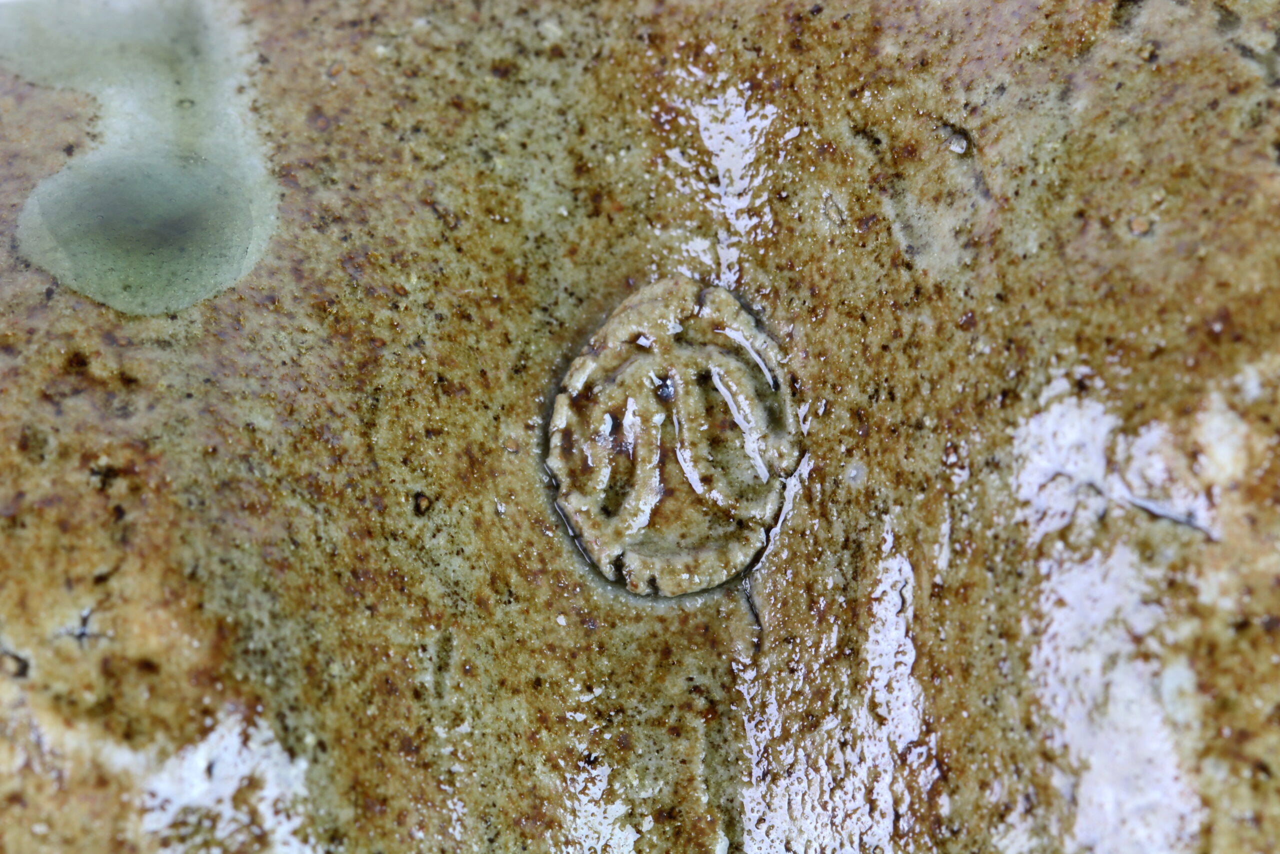 Sushi-Schale Mino Yaki-Keramik – Bild 2