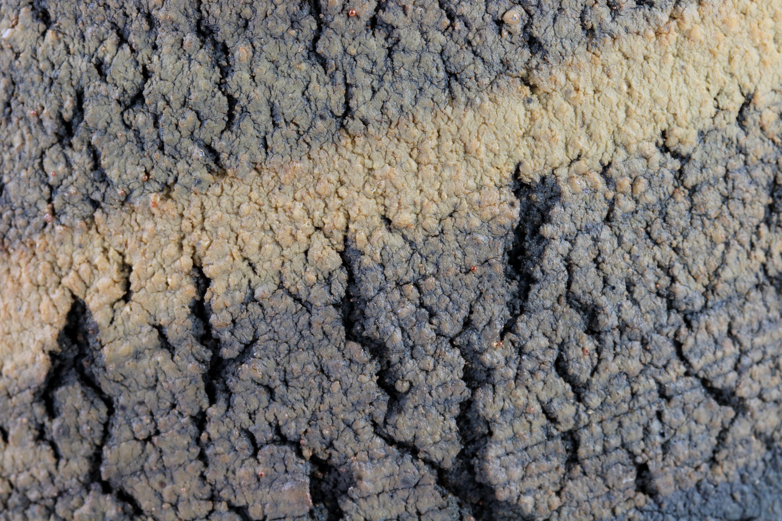 Blumenvase Tanka-Keramik – Bild 3