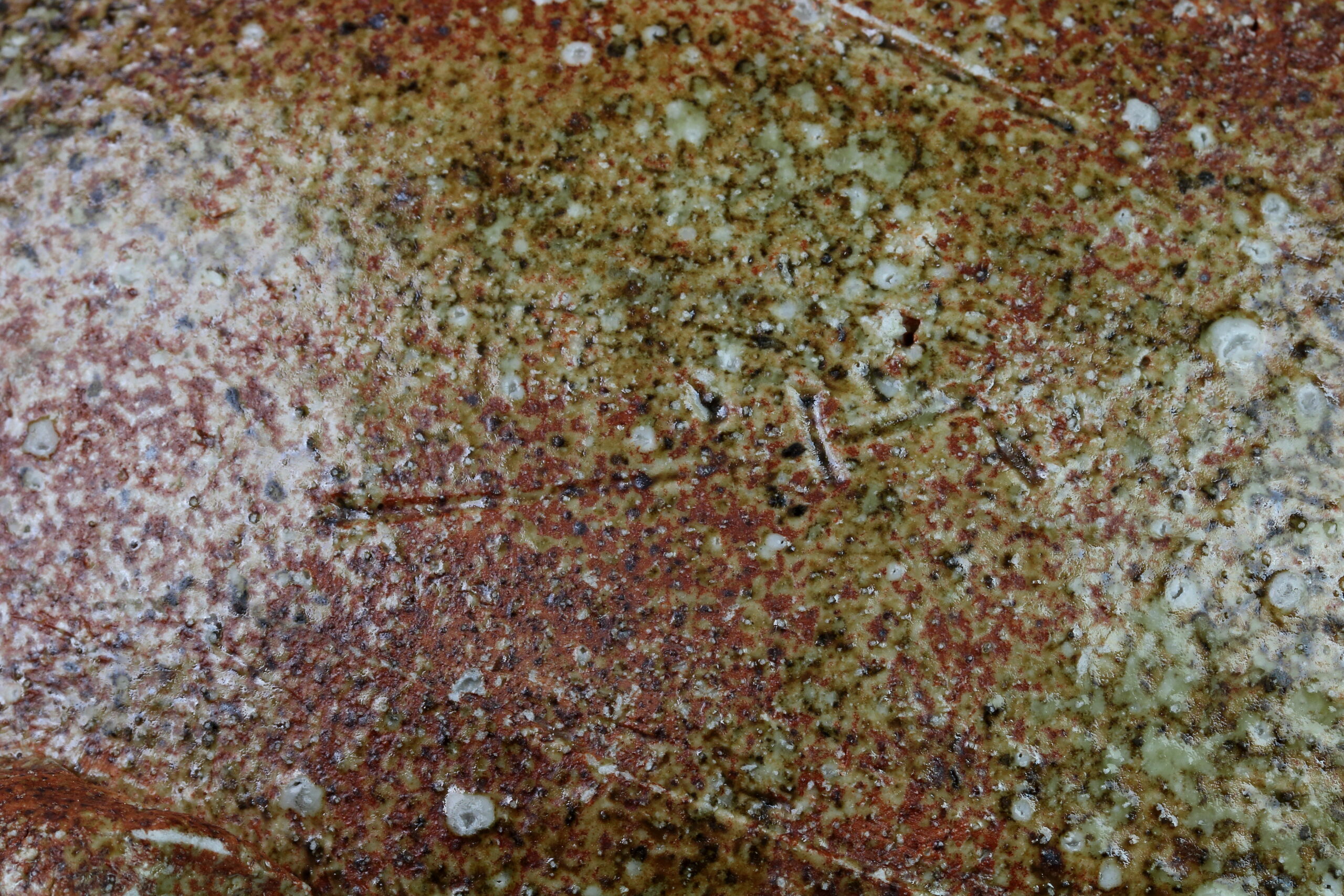 Iga Yaki-Keramik – Bild 7