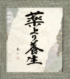 Shodo -Vorbeugen ist besser als Heilen-