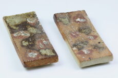Sushi-Platte Bizen Yaki
